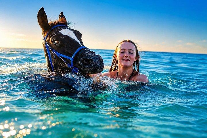 ハルガダでの馬との水泳乗馬 | ビーチ＆砂漠