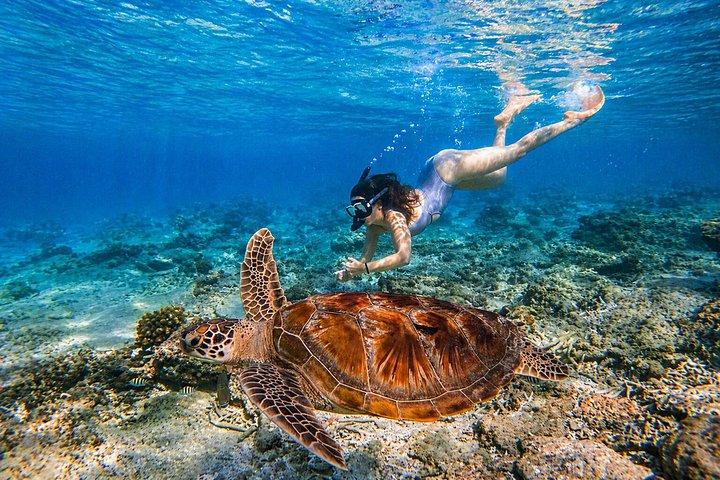 Gili Air Shared Schnorcheltour mit Glasbodenboot (5 Stunden)