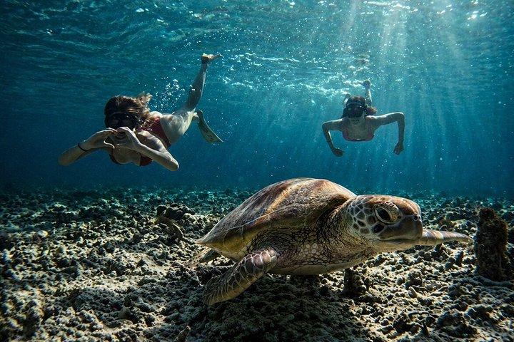 Gili Air Shared Schnorcheltour mit Glasbodenboot (5 Stunden)
