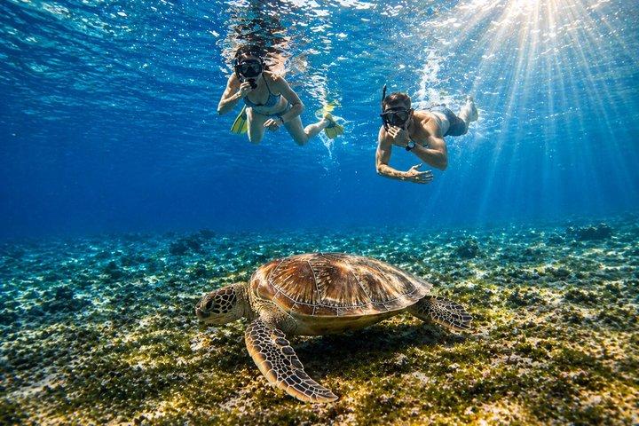 Gili Air Shared Schnorcheltour mit Glasbodenboot (5 Stunden)