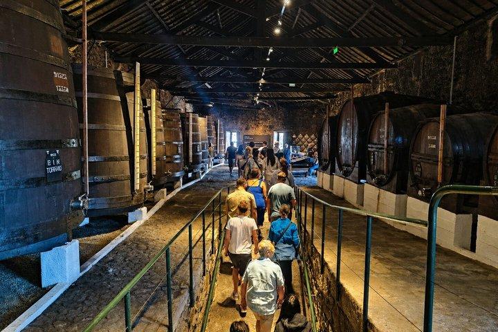 Oporto : Tour enoturístico Oporto & Duero para grupos pequeños con 9 Catas