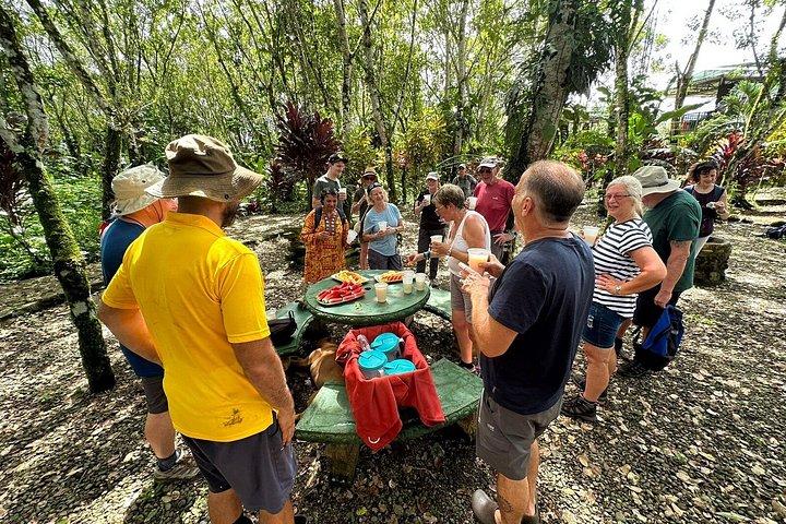 Organic Farm Tour, Tropical Fruit Tasting & Cooking Class