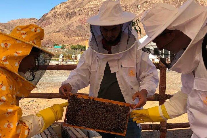 Hatta Mountain Tour från Dubai med Dam och Heritage Village