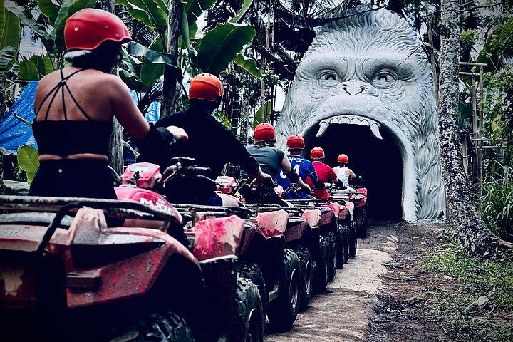 ウブドゴリラATVとジップラインアドベンチャーツアー