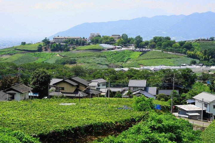 山梨ワイン発見1日プライベートツアー東京発
