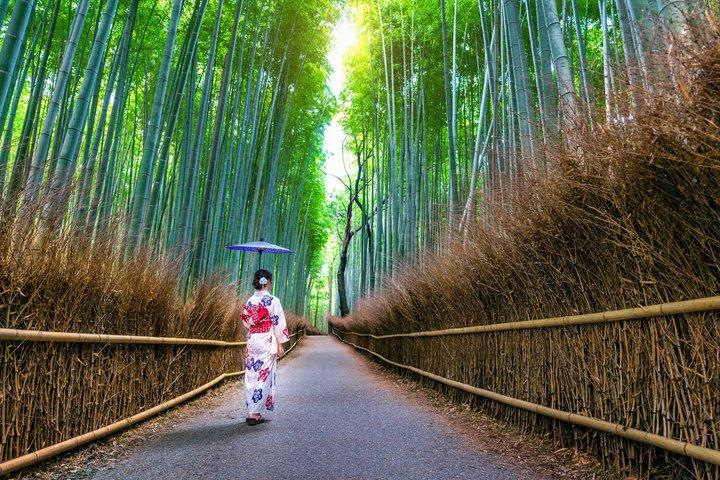 京都：ラグジュアリー車両でプライベートカスタマイズ可能な全日ツアー