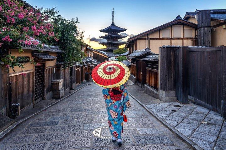 京都：ラグジュアリー車両でプライベートカスタマイズ可能な全日ツアー