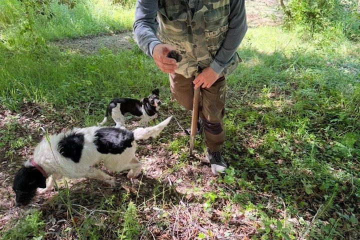 Truffle Hunting Adventure in Nature