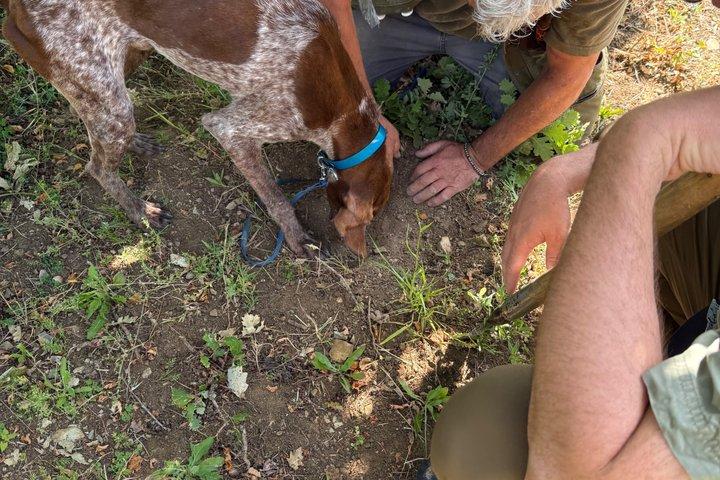 Truffle Hunting Adventure in Nature
