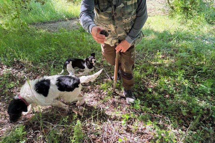 Truffle Hunting Adventure in Nature