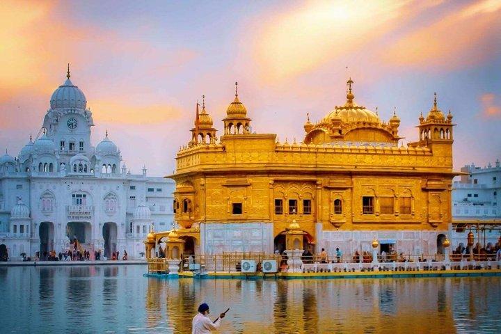 Fra Delhi: 7-dages privat Golden Triangle Tour med Amritsar