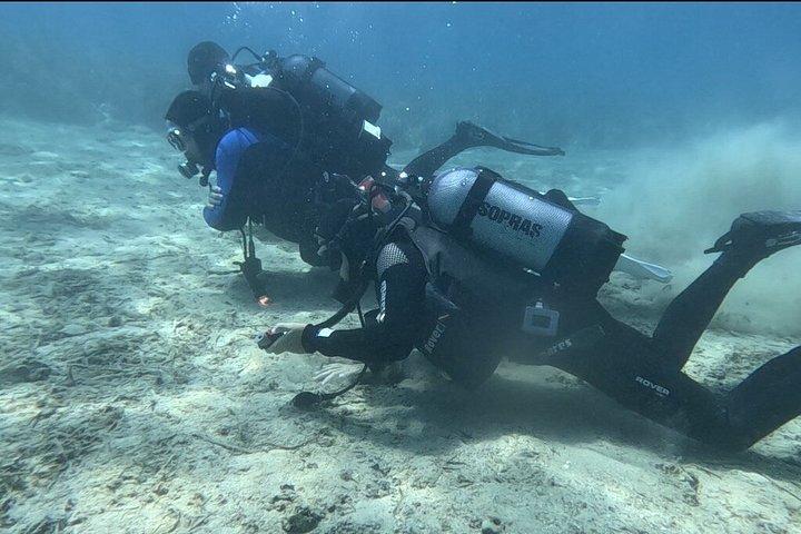 アドリア海のディスカバリーダイビングアドベンチャーとブルーラグーン