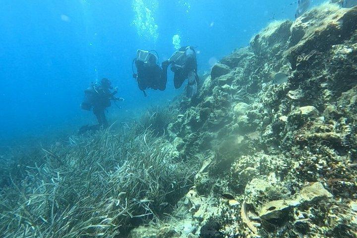 アドリア海のディスカバリーダイビングアドベンチャーとブルーラグーン