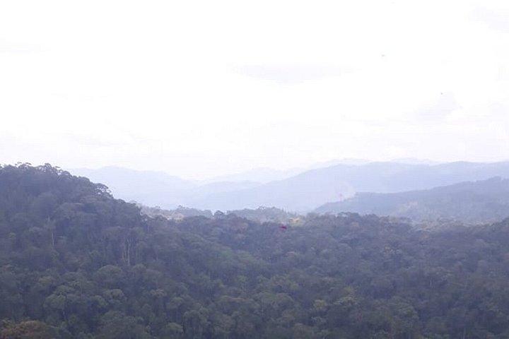 Sinharaja Regenwald Trek geführte Dschungelwanderung