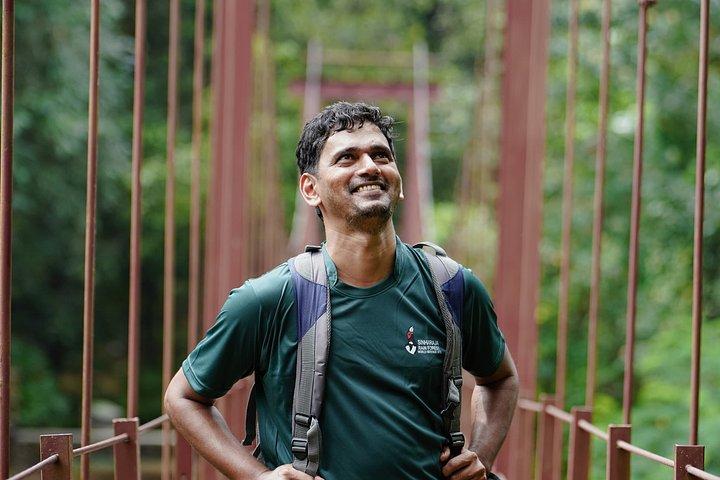 Sinharaja Regenwald Trek geführte Dschungelwanderung