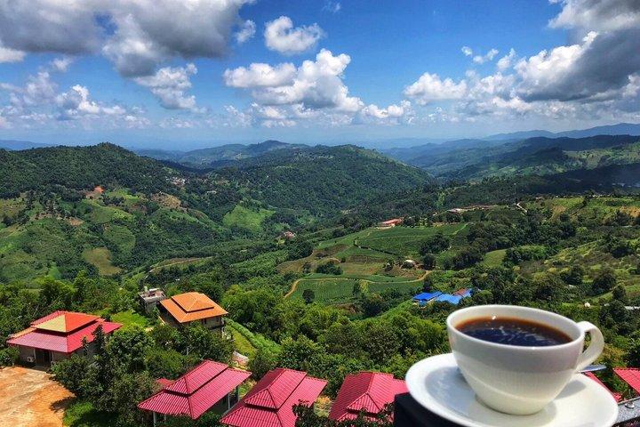 Visite guidée privée de Doi Mae Salong et Doi Tung au départ de Chiang Rai