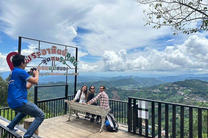 Visite guidée privée de Doi Mae Salong et Doi Tung au départ de Chiang Rai