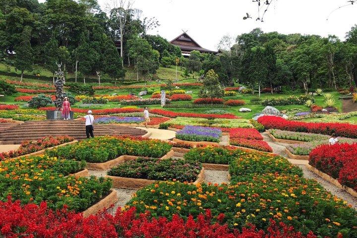 Visite guidée privée de Doi Mae Salong et Doi Tung au départ de Chiang Rai