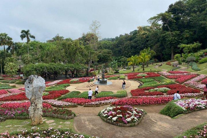 チェンライ発プライベートドイメーサロン＆ドイトゥンガイドツアー