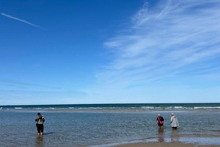Excursion privée d'une demi-journée à Skagen au départ du port de croisière