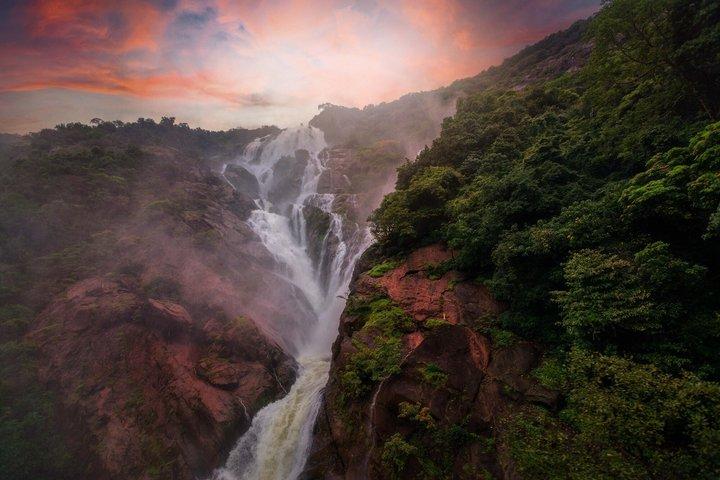 Dudhsagar Falls and Spice Plantation Private Tour