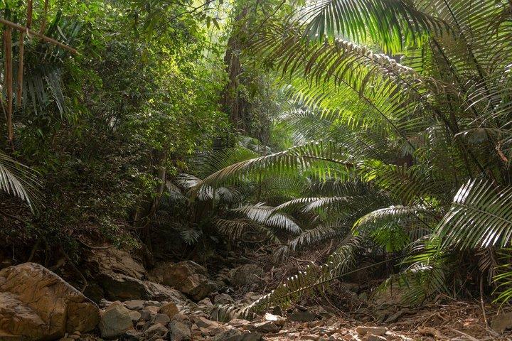 Visite privée de Dudhsagar Falls et Spice Plantation