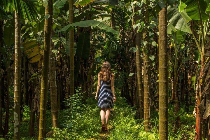 Visite privée de Dudhsagar Falls et Spice Plantation