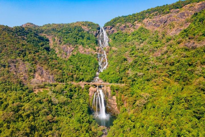 Visite privée de Dudhsagar Falls et Spice Plantation