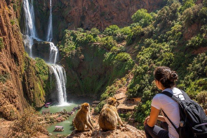 Vejleder og bådtur til Ouzoud Vandfald fra Marrakech