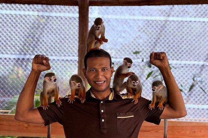 ダマハグア12の滝サル体験アドベンチャープエルトプラタ
