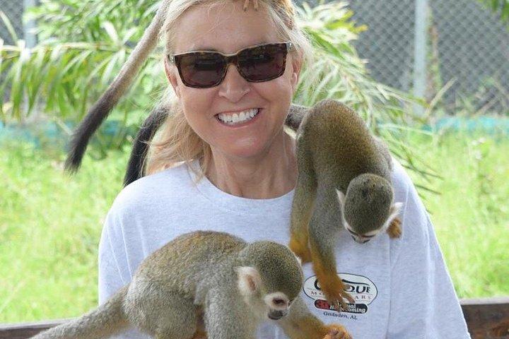 Puerto Plata: Affentouren, Lernen und Natur