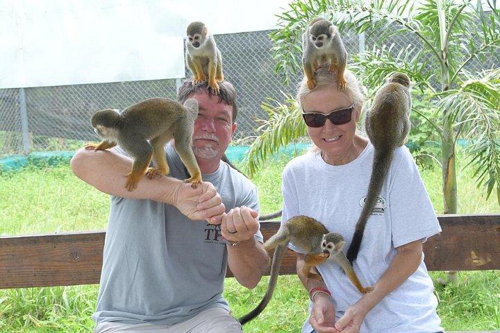 Puerto Plata: Affentouren, Lernen und Natur