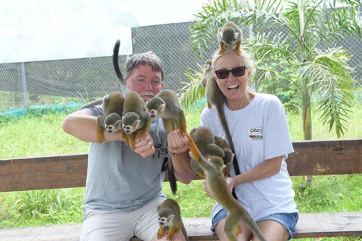 Puerto Plata: Affentouren, Lernen und Natur