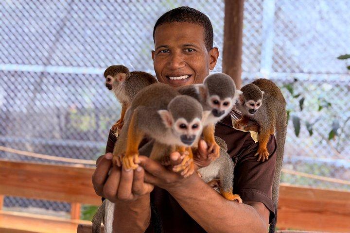 Puerto Plata: Affentouren, Lernen und Natur