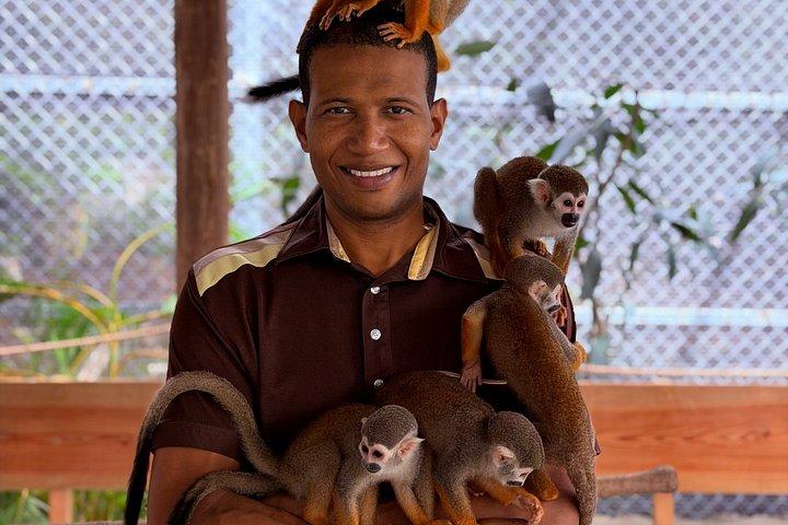 Puerto Plata: Affentouren, Lernen und Natur