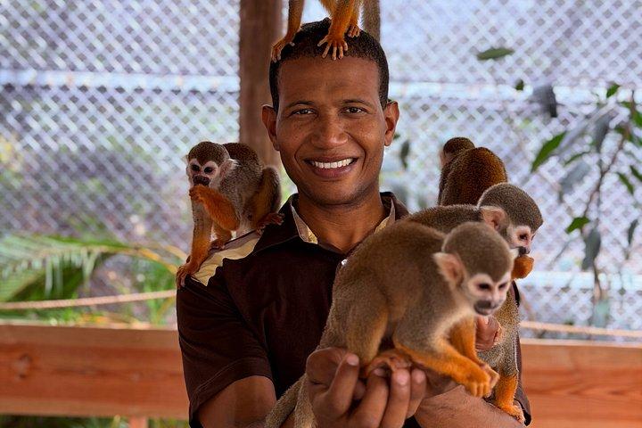Puerto Plata: Affentouren, Lernen und Natur