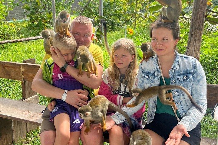 Puerto Plata: Affentouren, Lernen und Natur