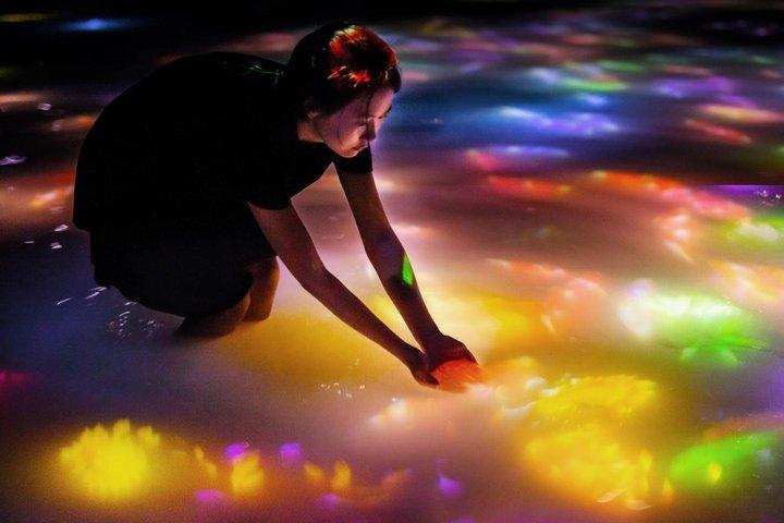 TeamLab Planets TOKYO Bilhete de Entrada