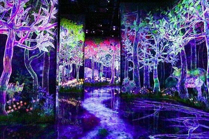 TeamLab Planets TOKYO Bilhete de Entrada