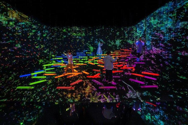 TeamLab Planets TOKYO Bilhete de Entrada