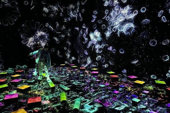 TeamLab Planets TOKYO Bilhete de Entrada