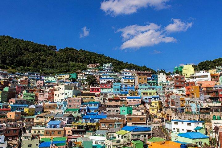 Customizable Private Busan Highlights Tour with a Local Guide