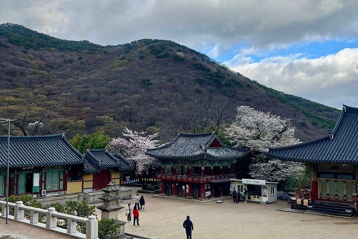 Customizable Private Busan Highlights Tour with a Local Guide