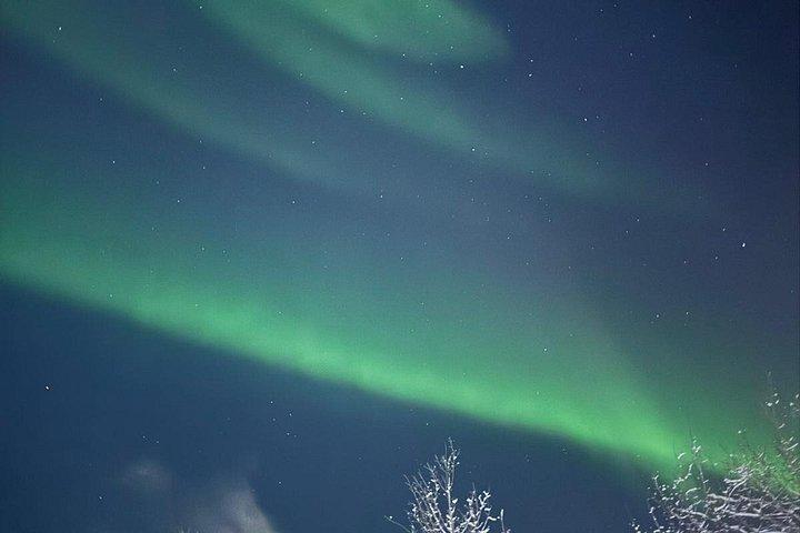 Aurora Hunting Tour in Yellowknife — Shared Bus