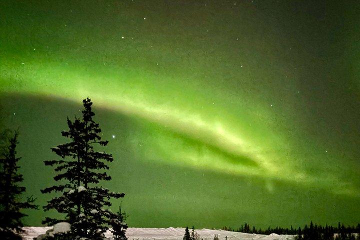 Aurora Hunting Tour in Yellowknife — Shared Bus