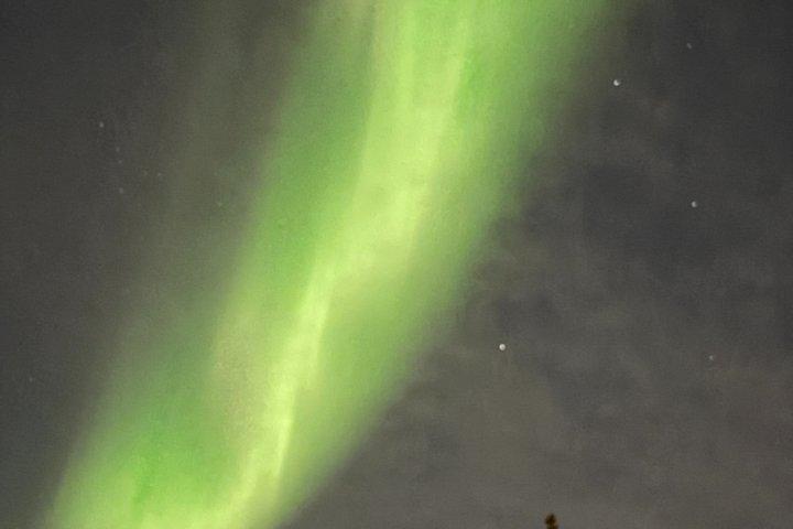Aurora Hunting Tour in Yellowknife — Shared Bus