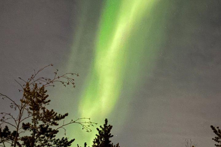 Aurora Hunting Tour in Yellowknife — Shared Bus