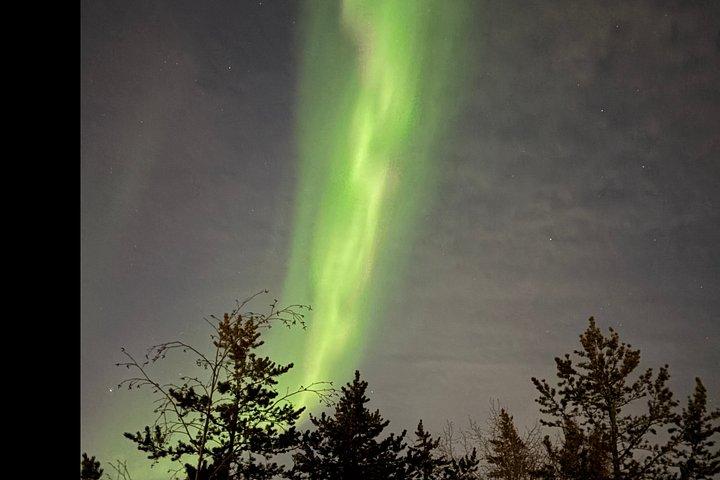 Aurora Hunting Tour in Yellowknife — Shared Bus