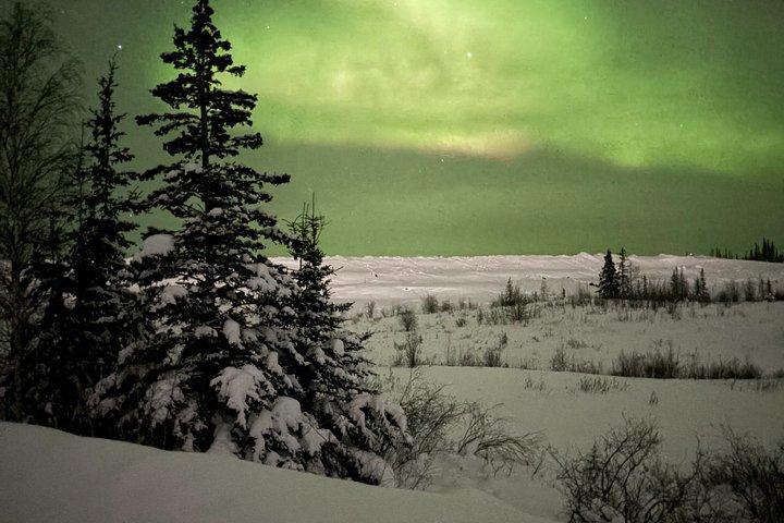 Aurora Hunting Tour in Yellowknife — Shared Bus