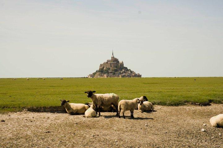 Private Paris Étretat and Mont Saint Michel Tour
